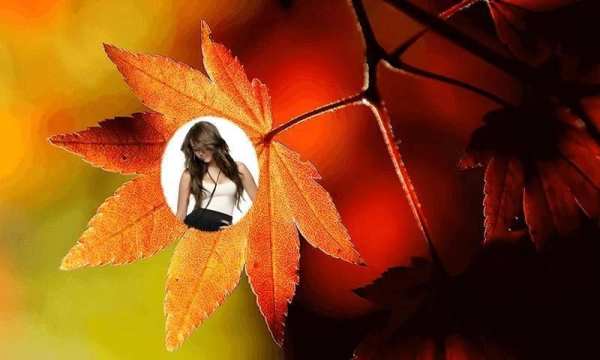 Leaf Photo Frames screenshot 1