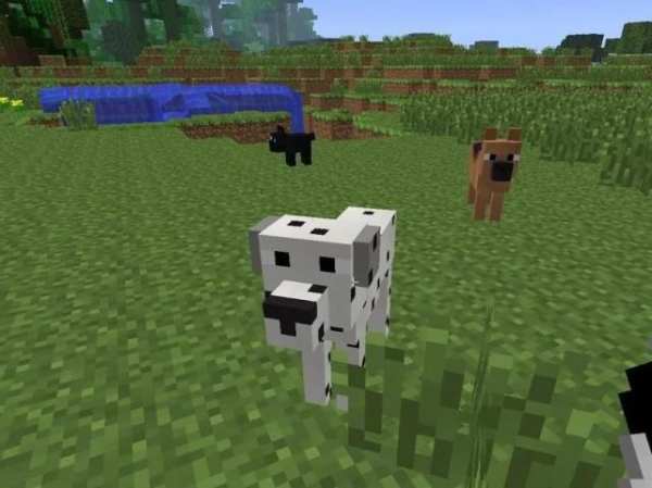 Dogs MOD for MCPE screenshot 2