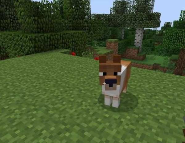Dogs MOD for MCPE screenshot 1