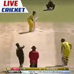 Cricket Matches Live Sports Channels &amp; Score आइकन