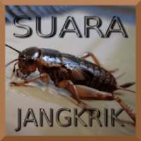 Kumpulan Suara Jangkrik Free on 9Apps