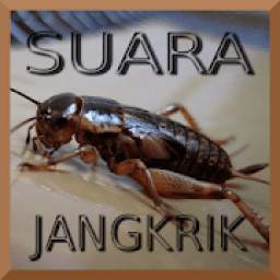 Kumpulan Suara Jangkrik Free 1.3