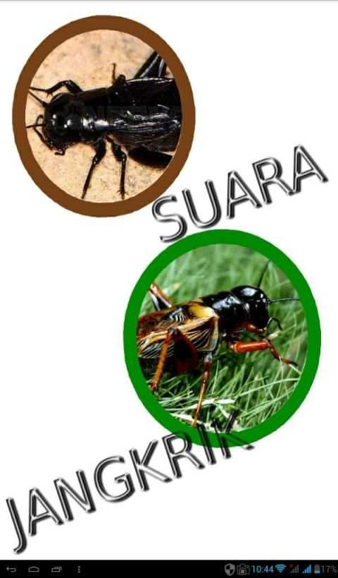 Kumpulan Suara Jangkrik Free screenshot 7