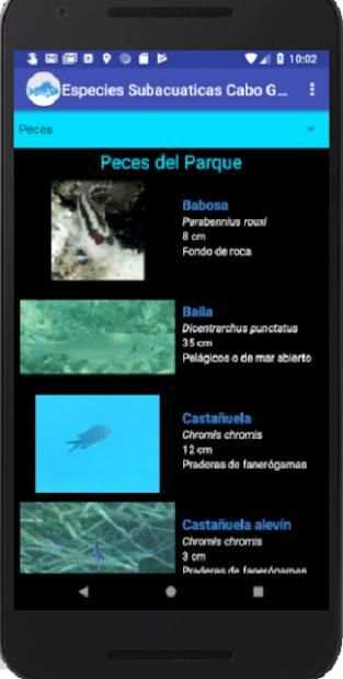 Especies Marinas Cabo de Gata screenshot 3