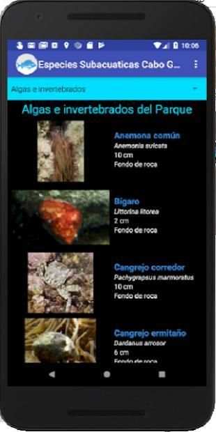 Especies Marinas Cabo de Gata screenshot 2