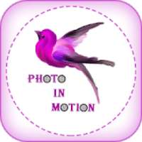 Photo In Motion : Cinemagraph Motion Effect