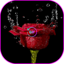 Belles Bouquets De Fleurs GIF icon
