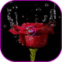 Belles Bouquets De Fleurs GIF on 9Apps