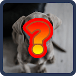 Animal Trivia आइकन