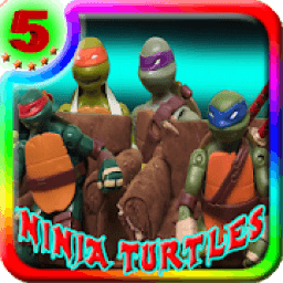 Power Ninja Shadows Turtle's Puzzle Games icon
