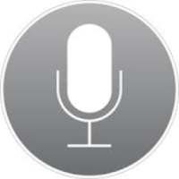 Voice Search For Google