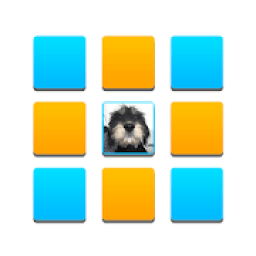 Brain Training icon