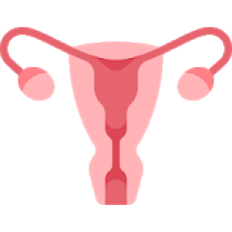 Mommi - Mobile Menstruation Monitoring icon