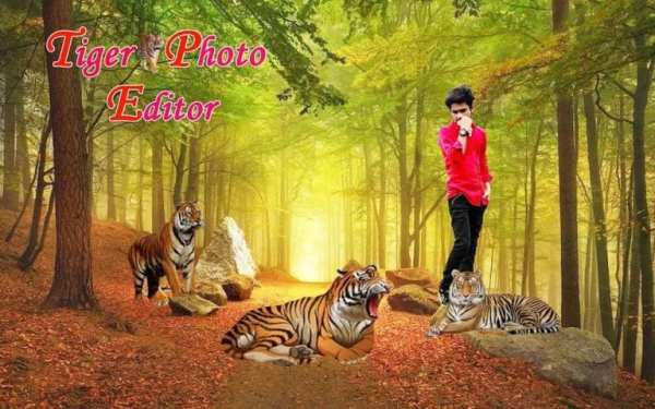 Tiger Photo Editor स्क्रीनशॉट 2