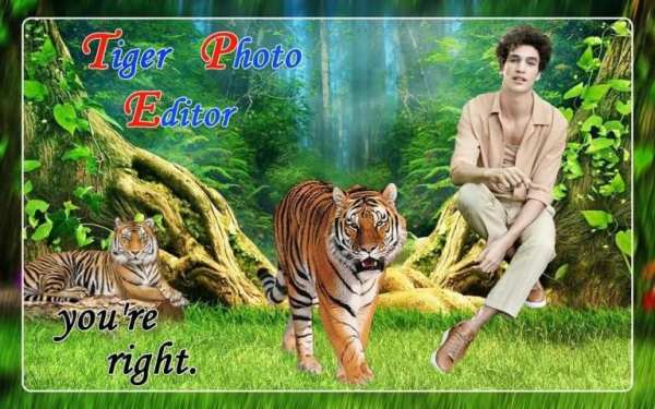 Tiger Photo Editor स्क्रीनशॉट 3