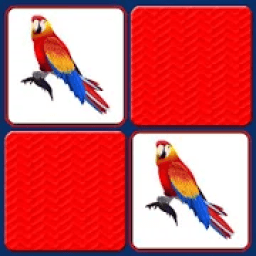 Picture Match . Brain Game आइकन