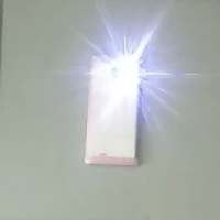 Flash light