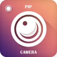 PIP Camara