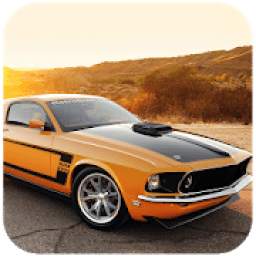 Real Car Simulator 9