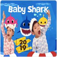 Kids~Song Baby~Shark | Video on 9Apps