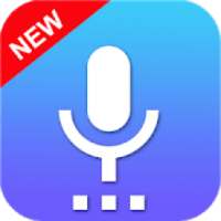 Audio Recorder PRO