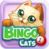 Bingo Cats