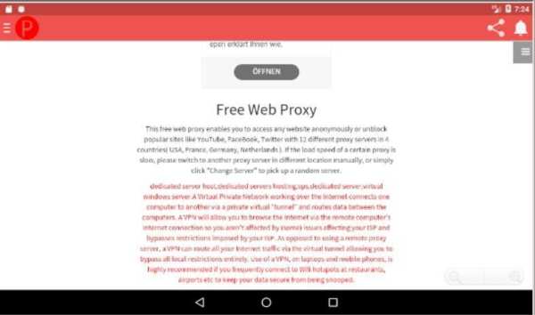 Proxy server browser screenshot 4