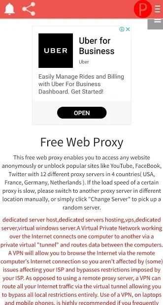Proxy server browser screenshot 1