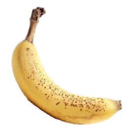 Banana Pests and Diseases