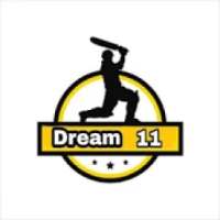 D 11 - IPL Dream 11 Prediction, Grand League Tips