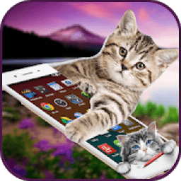 ikon Cat On Screen Prank