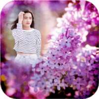 Lilac Flowers Photo Frames on 9Apps