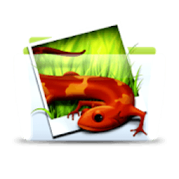 Search and Download Images आइकन