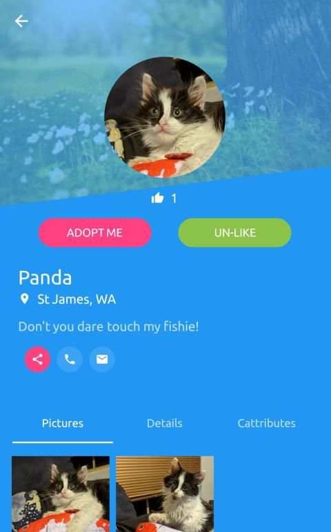 CatBox screenshot 2
