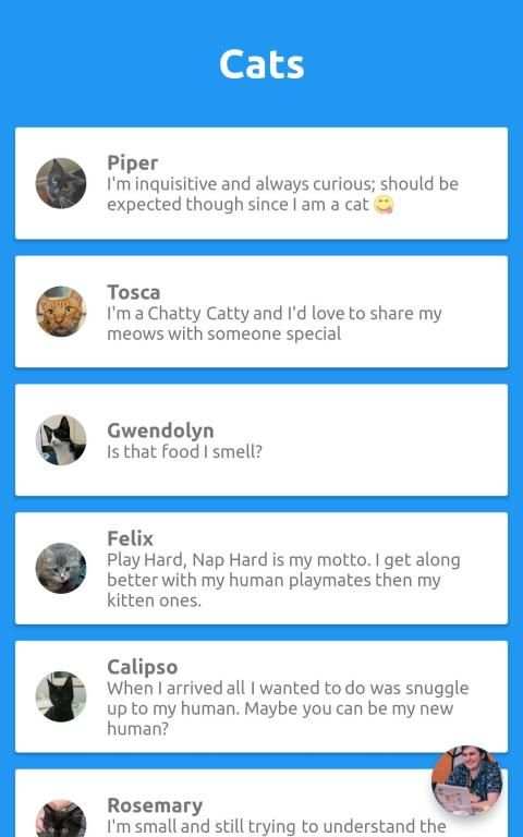 CatBox screenshot 1