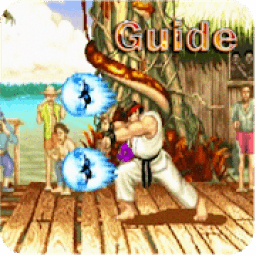ikon Guide for Street Fighter