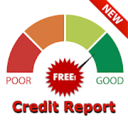 ikon Credit Score Report Check