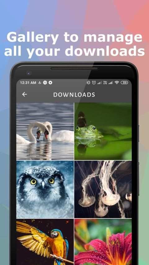 IG Saver - Instagram Photo & Video Downloader screenshot 5