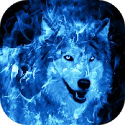 Ice Fire Wolf Wallpaper