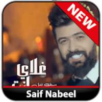 Saif Nabil - Gali Ant - Dengarkan Tanpa Internet on 9Apps