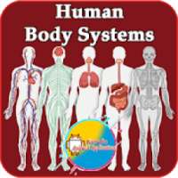 Human Body Systems | Body Systems