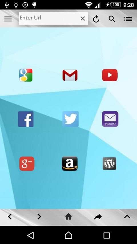 Shadow Browser screenshot 5