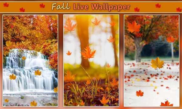Fall Live Wallpaper screenshot 2