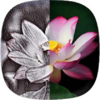 Photo Sketch Maker - Sketch Effect Photo Free on 9Apps