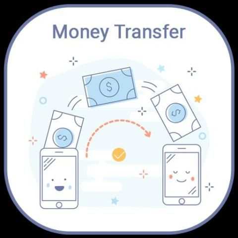 Money Transfer screenshot 1