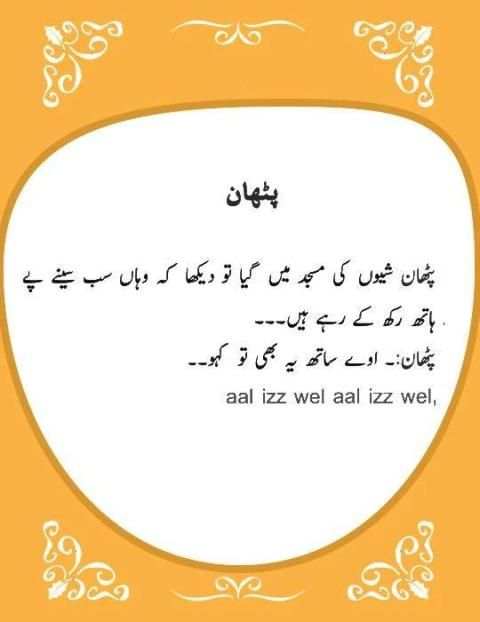 Pathan Jokes screenshot 2