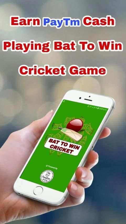 Bat To Win Cricket 2019 screenshot 5
