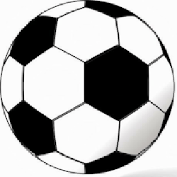 Skor Bola icon