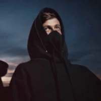 Alan Walker Musics