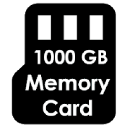 ikon 1000GB Memory Card